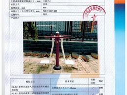 雙人浪板檢驗報告