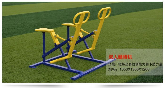 雙人健騎機(jī)